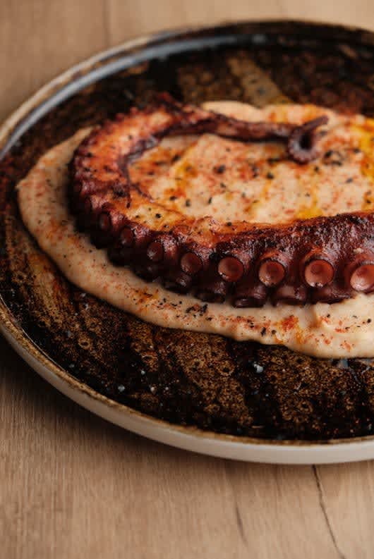 Octopus