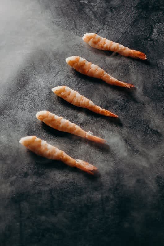 Shrimp